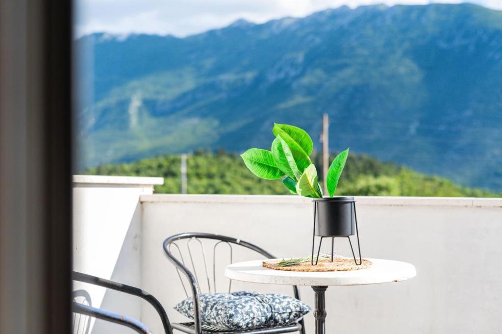 Guesthouse Matija Šestanovac المظهر الخارجي الصورة